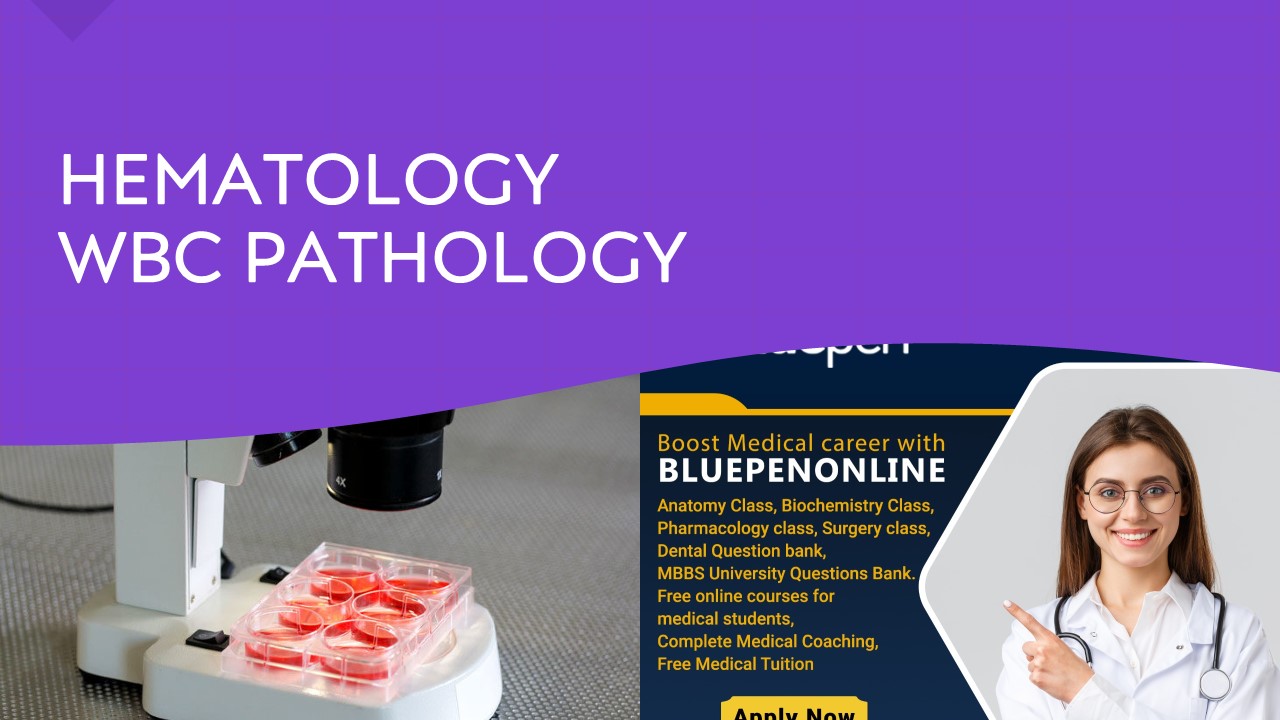 BluePen - Online Education Made Simple